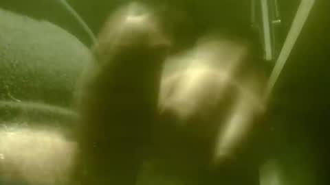 zaboski4 online show from November 29, 9:22 am