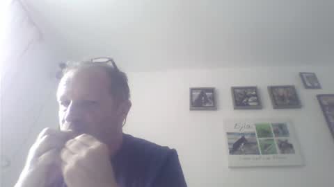 Zippi online show from July 17, 1:29 pm