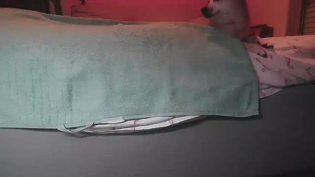 marcello21cm online show from March 11, 6:37 pm