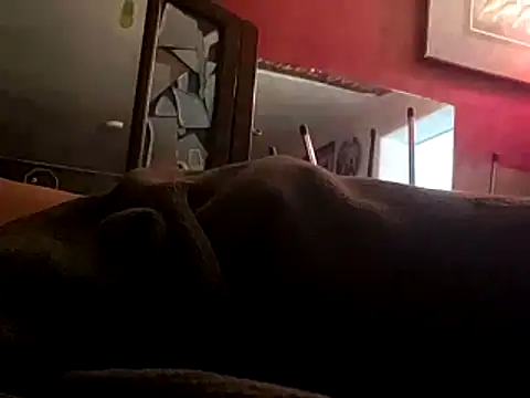 JRock69nKzoo online show from November 12, 12:00 pm