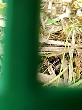 parejamlga58 online show from April 21, 9:04 am