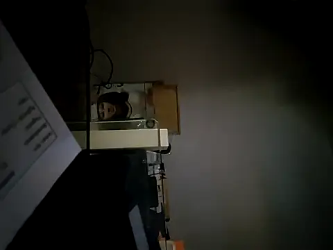 StiveMartin online show from November 17, 2:25 am