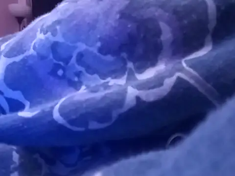 Blkstylion online show from February 5, 6:42 am