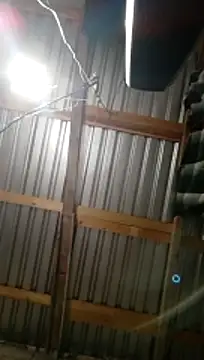 Moreno1813 online show from November 5, 6:04 am