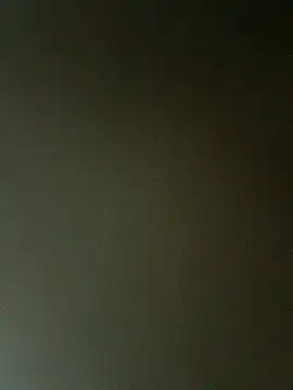 fieltoprj1 online show from February 27, 1:07 am