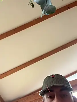 habbockwiesau online show from March 15, 2:12 pm