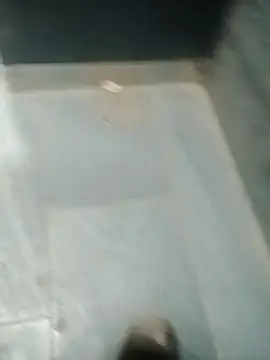 SolitaryMisfit8 online show from October 24, 5:31 am