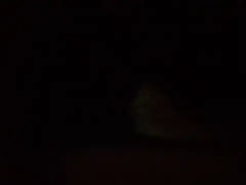technodotado online show from July 30, 4:23 am