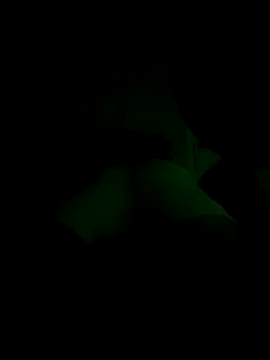 lRainbowBoy online show from November 14, 12:25 am