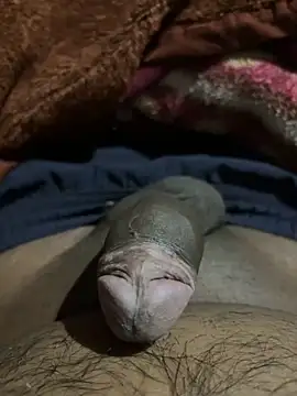 delhiboyz1 online show from February 16, 7:49 pm