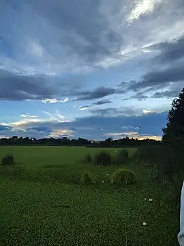 Eduardoxxx51 online show from December 3, 10:16 pm