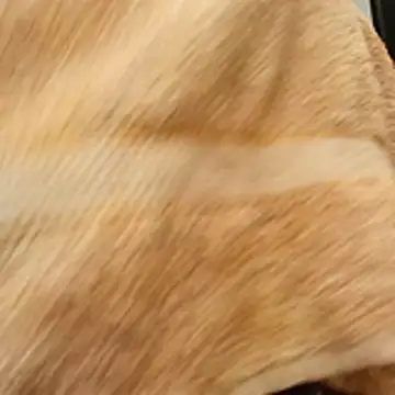 niesmialy39oon online show from April 20, 9:06 pm