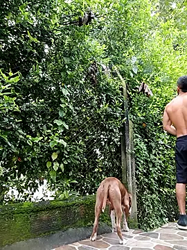 sebasxx97 online show from January 12, 1:59 pm