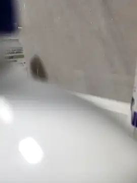 Beijing2000 online show from March 27, 11:33 am