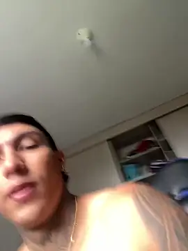 Snapshot of sendfer chatting on December 4, 7:34 pm sendfer online show from December 4, 7:34 pm