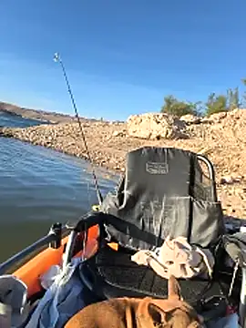 FloppyPickle4u online show from April 21, 1:08 am