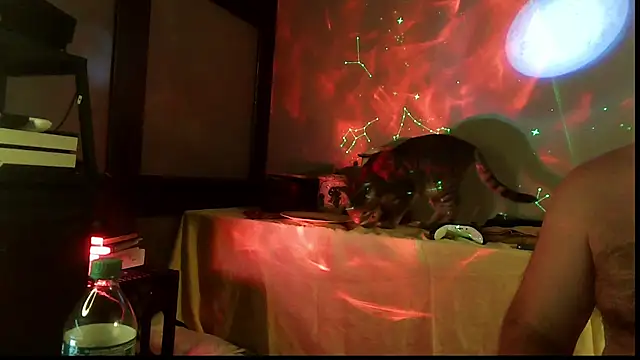 SexWorkerX online show from November 28, 2:48 am