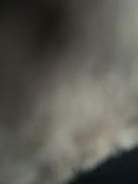 Snapshot of Joaquinp2023 chatting on January 21, 9:15 pm Joaquinp2023 online show from January 21, 9:15 pm