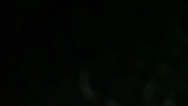 bob petterson online show from February 6, 2:55 am