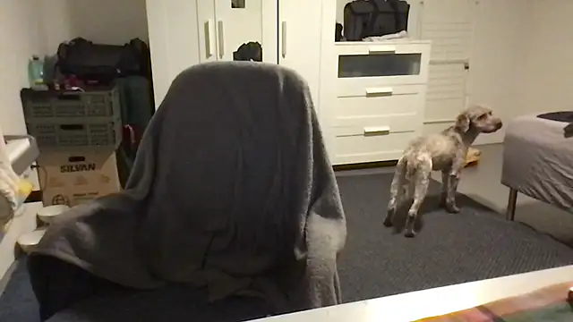 Totipro69 online show from February 16, 7:05 pm