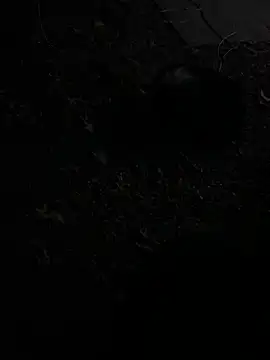 Sycrete01 online show from October 26, 11:29 pm