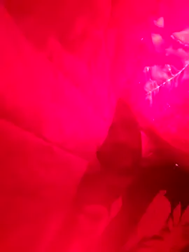 Snapshot of Lord-Sloppy chatting on December 7, 3:41 pm Lord-Sloppy online show from December 7, 3:41 pm