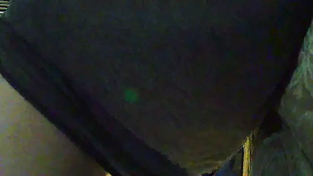 pipeload1275 online show from January 7, 11:04 am