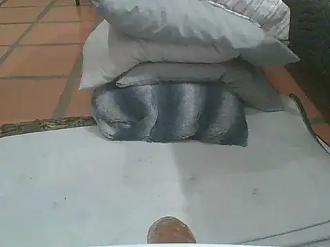 MrPatrick777 online show from February 4, 3:56 am