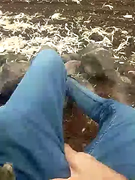 murokkk31 online show from December 16, 8:31 am