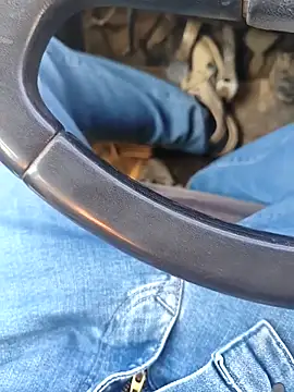 murokkk31 online show from January 8, 8:30 am