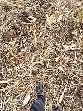 murokkk31 online show from September 19, 5:08 am