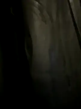 Wildherb244 online show from December 4, 6:00 am