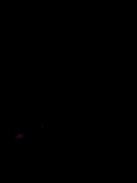 VL25DN26 online show from February 16, 7:28 am