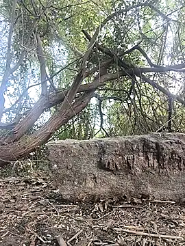 Telugubigcock57 online show from January 18, 10:28 am