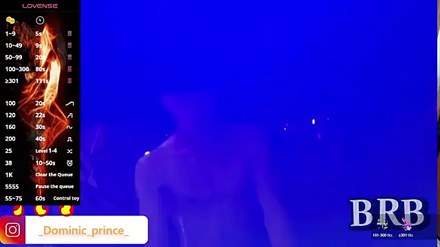 DominicPrince online show from November 10, 12:10 pm