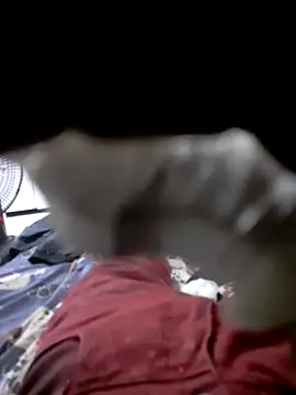 Feii12 online show from December 21, 9:47 pm