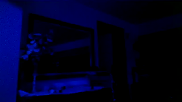 KaiCruzNYC online show from September 23, 7:29 am