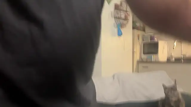 SpunCandy online show from February 28, 9:25 pm