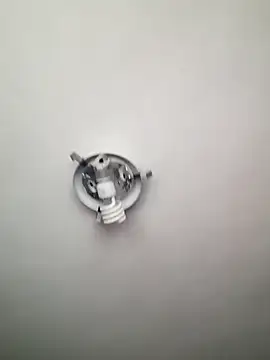 Professor Leo  online show from September 13, 2:40 pm