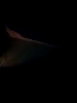 AngLMex online show from November 12, 12:05 am