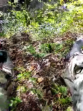 lostknight2 online show from September 14, 2:30 pm