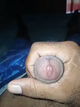 taylorWiiz online show from January 6, 1:59 pm