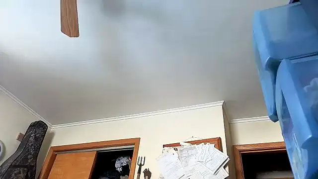 thecatrangler online show from December 4, 7:21 pm