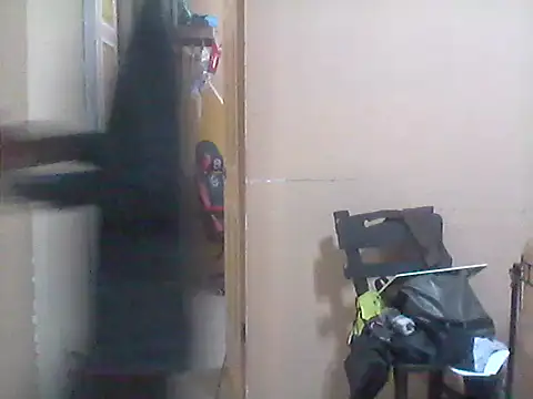 Snapshot of _Dmente_ chatting on October 17, 6:06 am Dmente online show from October 17, 6:06 am
