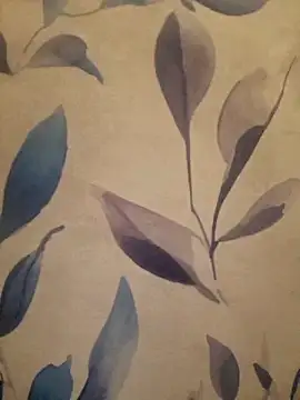 Josephine LIVE online show from March 27, 11:16 pm