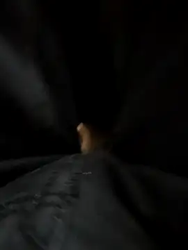 SageElement2 online show from February 24, 11:54 am