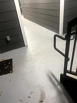 zeekBbc online show from November 16, 10:50 am