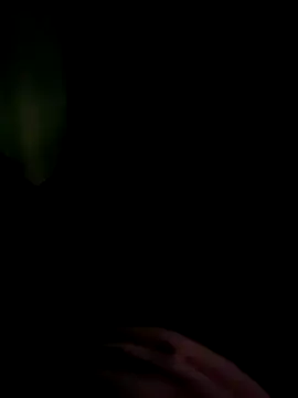 AloneDick online show from October 3, 10:42 am