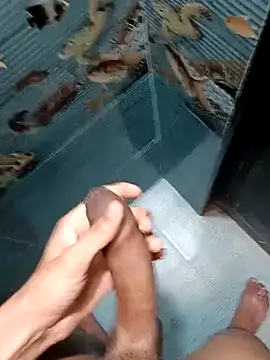 Mr joh online show from February 7, 5:25 am