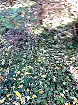 Lucascacaca online show from December 4, 2:04 pm